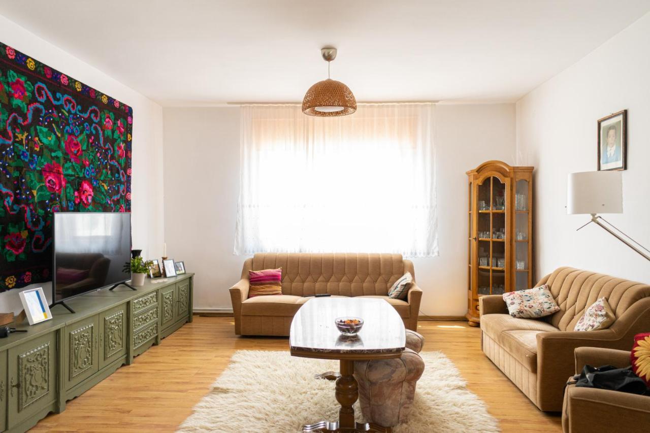 Generous Family Home Viseu de Sus Exterior photo