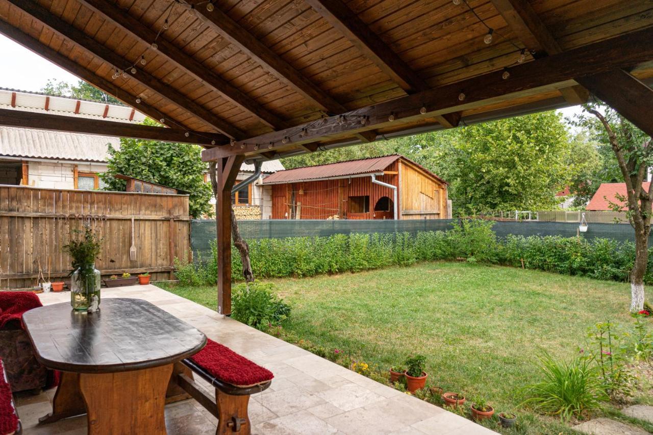 Generous Family Home Viseu de Sus Exterior photo